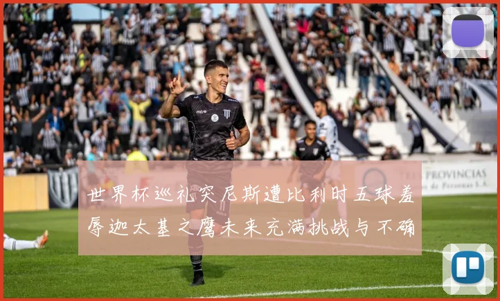 世界杯巡礼突尼斯遭比利时五球羞辱迦太基之鹰未来充满挑战与不确定性